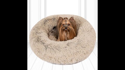 Friends Forever Coco Cat Bed, Faux Fur Dog Beds for Medium Small Dogs - Self Warming Indoor Rou...