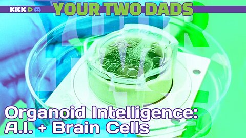 Organoid Intelligence: A.I. + Brain Cells