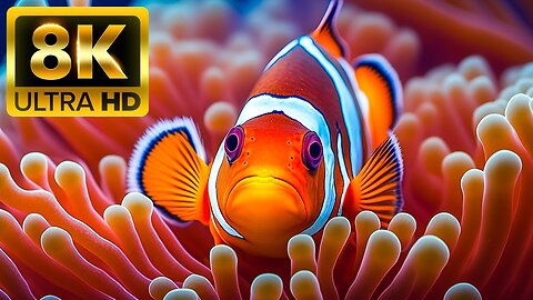 The Best 8K HDR 60FPS Aquarium for Relaxation 🐠 Relaxing Oceanscapes - Sleep Meditation