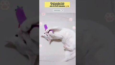 cute cat videos 😹 funny videos 😂 894 😻#shorts #shortsfunny #cutecat #catvideos #catstoys #catscare