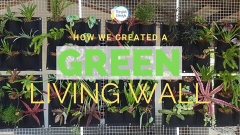 How We Created a Living Green Wall