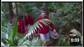 I'm a celebrity - HOW CAN THEY BE SO THICK