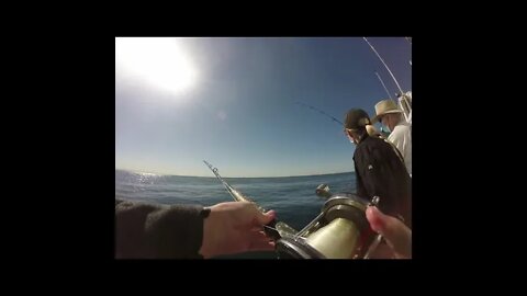 Point Loma Sportfishing!! Rock Fishing! Quarantine fishing!