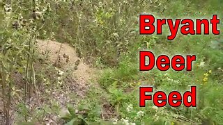 Bryant Deer Feed #deerseason #deerhunting