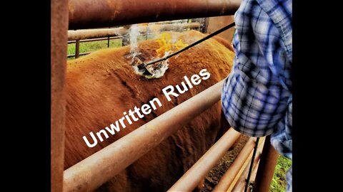 UNWRITTEN Social & Cultural Norms in Ranching (In the Chute - Round 78)