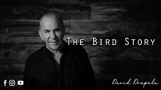 The Bird Story