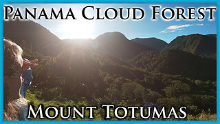 Mount Totumas Ecolodge Volcan Panama Chiriqui - Nature Trails Hiking, Birdwatching, Hummingbirds