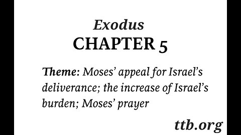 Exodus Chapter 5 (Bible Study)