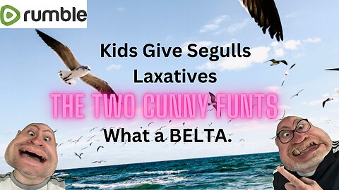 kids give seagulls laxatives