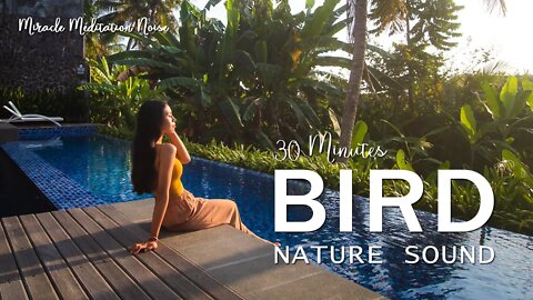 [30 Minute] Relaxing Birds Nature Noise for Healing | Emotional & Physical Healing