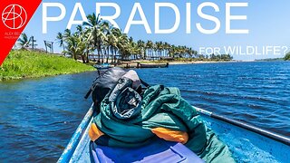 A PARADISE FOR WILDLIFE? MAJAHUAS, MEXICO