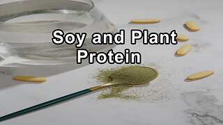 Soy and Plant Protein: The Foundations of a Healthy Diet - Brenda Davis, R.D.