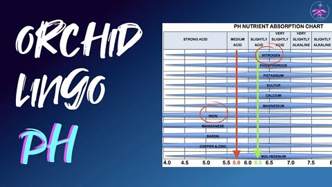 Why pH? When to pH? Is pH necessary? What does pH do? #orchidsfertilizing #pHandnutrients