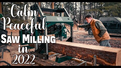 Calm Peaceful Saw Milling in 2022 | HM130 Max Woodland Mills