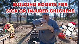 Making Special Roosts For Chicken Hospital At The Ranch.Using One Saw