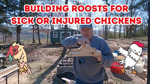 Making Special Roosts For Chicken Hospital At The Ranch.Using One Saw