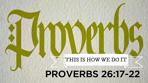 PROVERBS ~ "This Is How We Do It" - (Week 4) - Proverbs 26:17-22