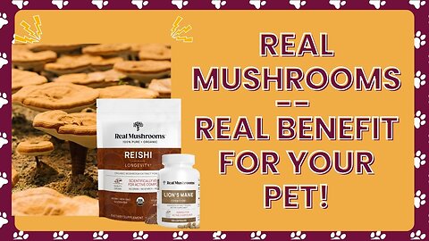 Real Mushrooms - Real Benefits for Pets!
