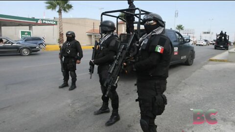 Mexican cartel ambushes military troops, 7 dead