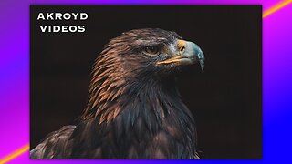 STEVE MILLER BAND - FLY LIKE AN EAGLE - BY AKROYD VIDEOS