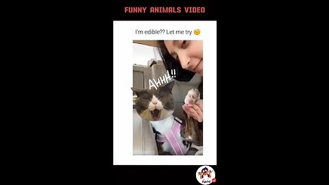 Funny Hilarious video That makes you Laugh😂😂 part-1