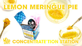 Lemon Meringue Pie by Olio | Live Resin Wet Sugar
