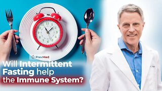 Q&A: Intermittent Fasting & the Immune System