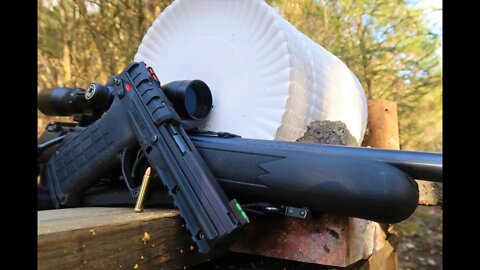 22 Magnum - Pistol VS Rifle