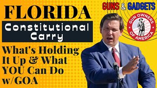 Florida Constitutional Carry! Will It Happen? What's Holding It Up? What YOU Can Do!