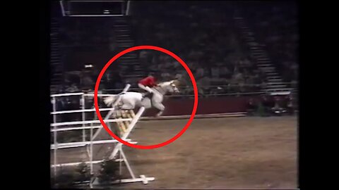 This White Horse Performs a 2.32 m Record Jump