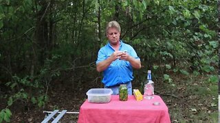 Making Goldenrod Tincture And Infused Oil