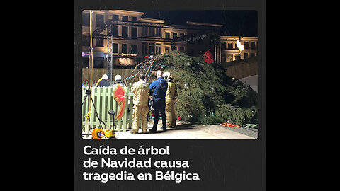 Muere una mujer en Bélgica aplastada por un árbol de Navidad