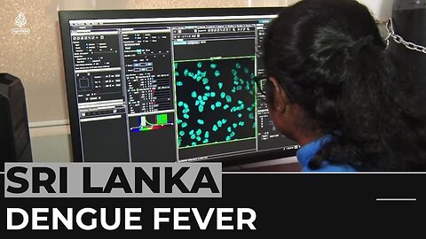 Sri Lankan authorities rush to contain dengue fever outbreak