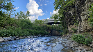 Urban Creek Fishing Adventure at my Childhood Spot