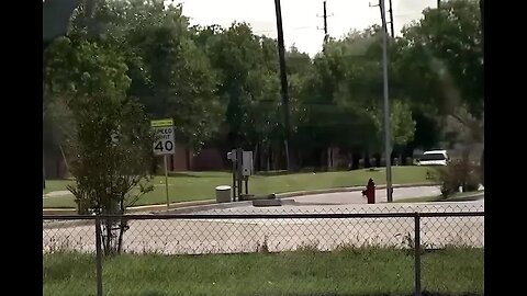 Houston Suburb Decides the Best Way to Fight Crime Is... Planting Trees