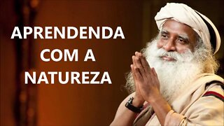 SE PERMITA APRENDER COM A NATUREZA, SADHGURU, DUBLADO