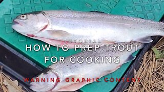 How To Prep Trout For Cooking | Warning Graphic Content