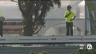 Detroit's Christmas Tree arrives in Campus Martius