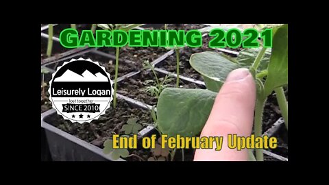 Garden 2021 : End of February Garden Update