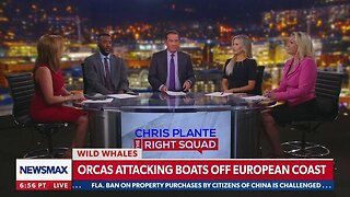 Killer Whales attacking boats off European coast