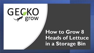 How to Grow 8 Heads of Lettuce in a Storage Bin - DIY Hydroponic System