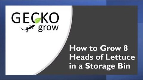How to Grow 8 Heads of Lettuce in a Storage Bin - DIY Hydroponic System