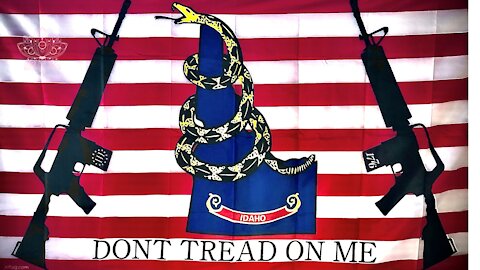 DON'T TREAD ON ME IDAHO - JANICE MCGEACHIN STANDS UP!