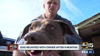 Dog reunited with owner after 9 months