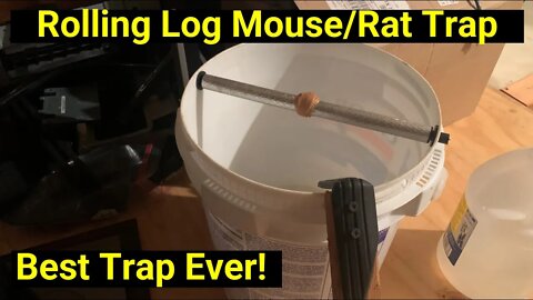 🐭Best Mouse and Rat Trap Ever! Simple to Catch Mice With 5 Gallon Bucket! Easy Rolling Pin Design