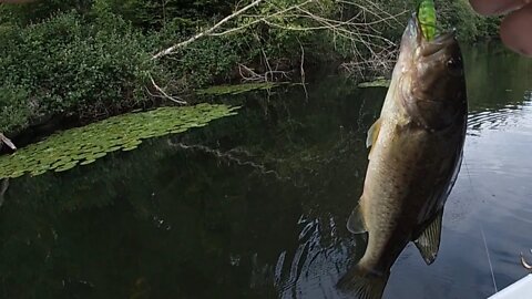 Lake Sawyer Bass Fishing Day 1 (shore and boat fishing)