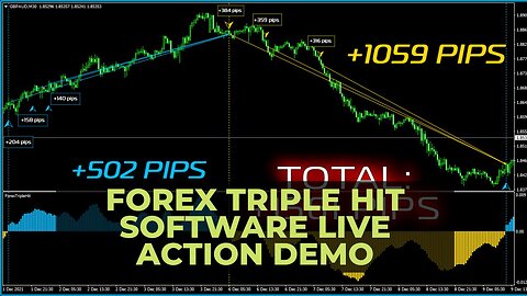 Forex Triple Hit Software Live Action Demo