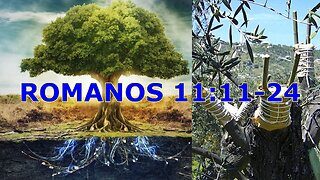 Romanos 11:11-24 Israel é a raiz para os gentios. Pregação de Wilfred Starrenburg