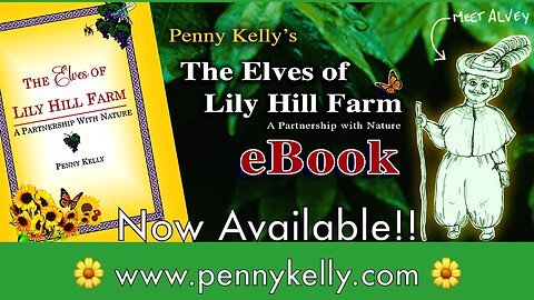 🍀 The Elves of Lily Hill Farm 🍀 Now available in eBook!! 🦋🌻🌱
