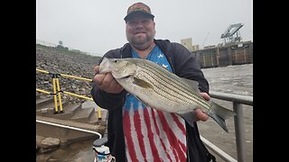 Fishing The Ohio River